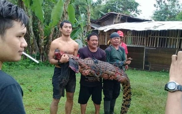 Індонезійці знищили майже 300 крокодилів за смерть друга