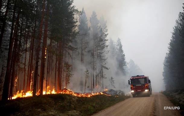 У Швеції згоріло понад 25 тисяч гектарів лісу