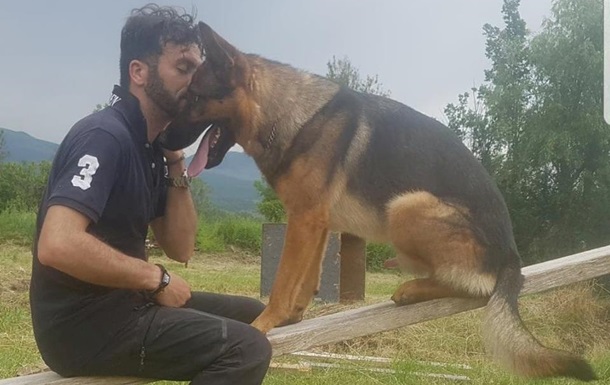 В Італії отруїли собаку, який рятував людей після землетрусу