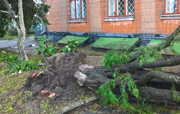 В Житомирской области ураган повредил крыши домов