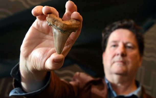 На пляжі в Австралії знайшли зуби гігантської стародавньої акули