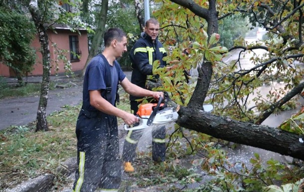 Непогода в Киеве: повалено более 200 деревьев и пять опор ЛЭП