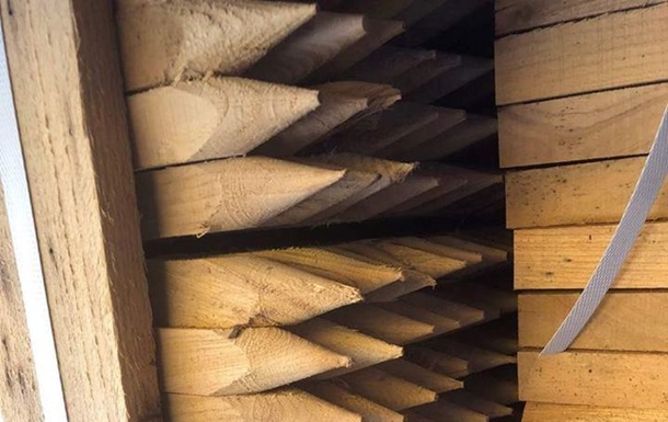 З України до Польщі намагалися вивезти 20 тонн цінної деревини