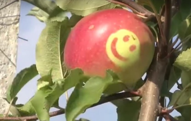 В Украине начали выращивать яблоки со смайликами