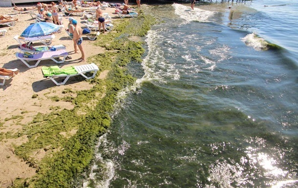 В Минздраве назвали 154 пляжа, где не следует купаться