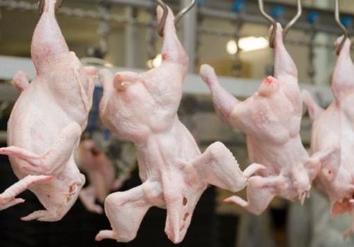 Антибиотики при выращивании мяса - угроза жизни и здоровью!