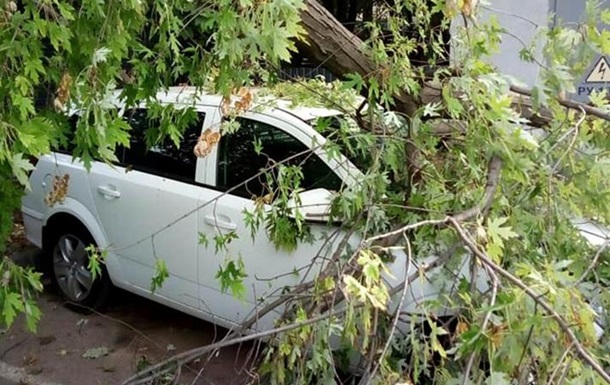 В Одессе из-за непогоды падают деревья