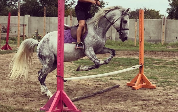 Ломаченко решил заняться конным спортом