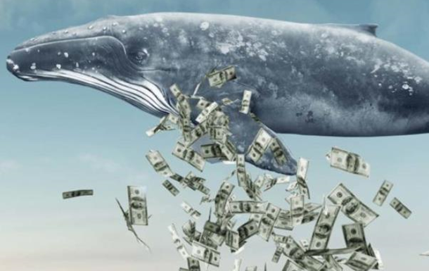 Как работают киты на рынке криптовалют
