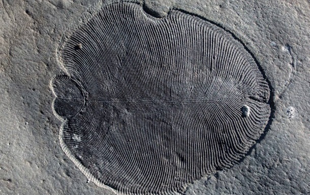 Вчені знайшли останки найдавнішої істоти на Землі
