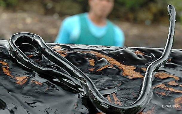 У водах Австралії вперше від укусу морської змії помер чоловік