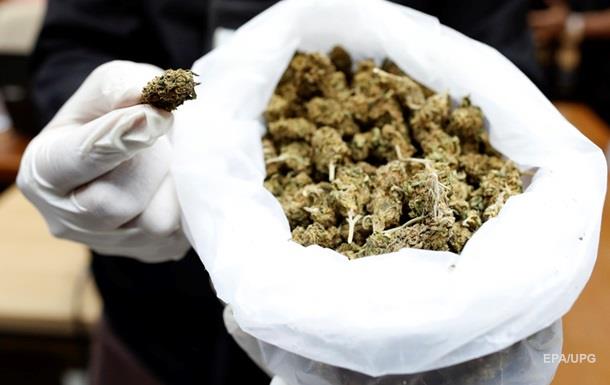 Легализация марихуаны в испании обнаружена плантация конопли