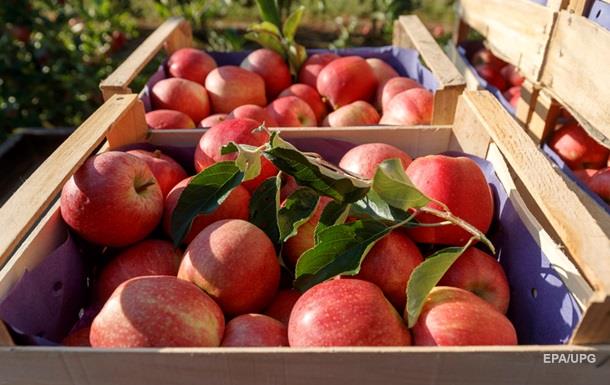 Украина нарастила экспорт плодов и ягод