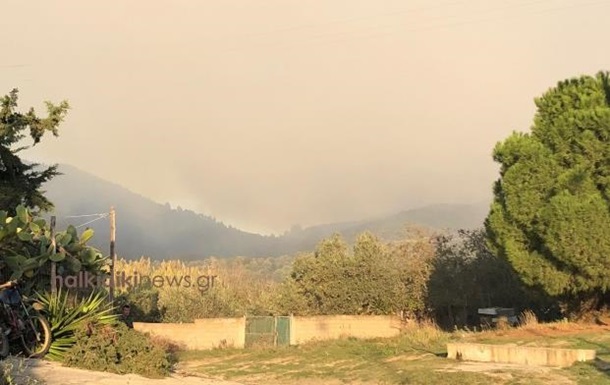 На севере Греции вспыхнули лесные пожары