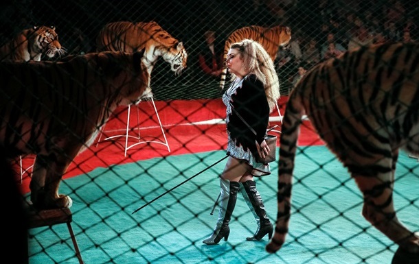 В Португалии запретили выступления диких животных в цирках