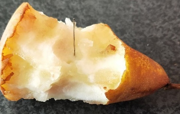 В Австралії виявлені груші з голками