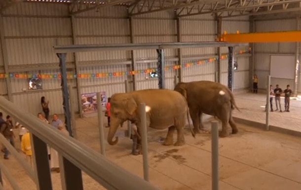 В Індії відкрили перший госпіталь для слонів