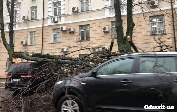 В Одессе упавшее дерево повредило десять авто
