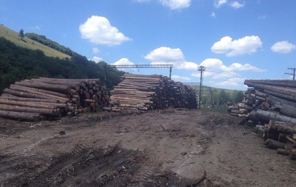 Озвучені масштаби вивезення лісу з України