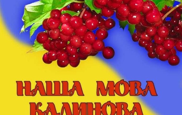 Чи утискається українська в Україні сказали українці. Відеосоцопитування