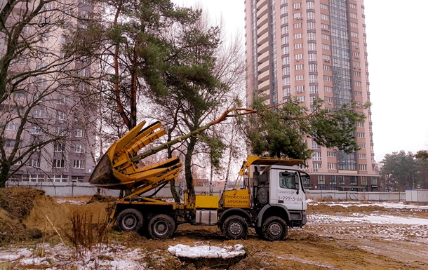 Не вырубят, а пересадят: при строительстве ЖК  Квартал Аллей  сохранят максимум деревьев