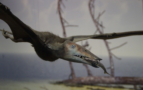 У Великобританії знайшли невідомий вид літаючого динозавра