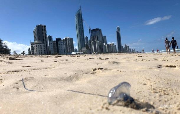 В Австралії нашестя медуз: влада закрила популярні пляжі