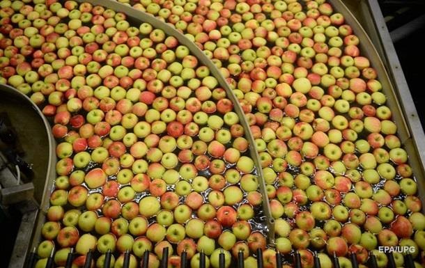 Україна рекордно збільшила експорт яблук