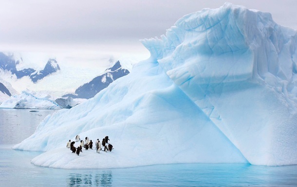 Площа льодового покриву в Антарктиці рекордно зменшилася