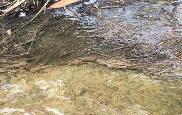 Экологи заявили о новом загрязнении реки в Житомирской области