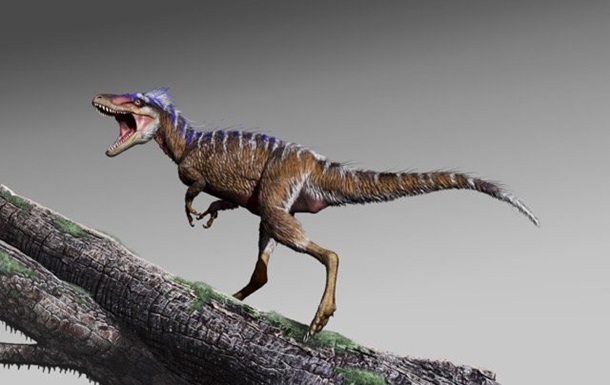 Ученые нашли останки самого маленького тираннозавра