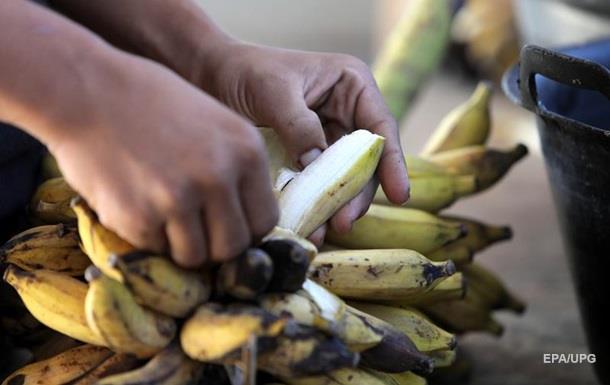 У Туркменістані вперше виростили врожай бананів