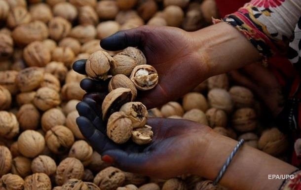 Украина рекордно экспортировала орехи и фрукты