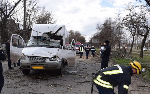 У Миколаєві дерево впало на маршрутку, постраждали діти