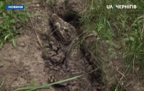 У селі Чернігівської області знайшли мертвого крокодила