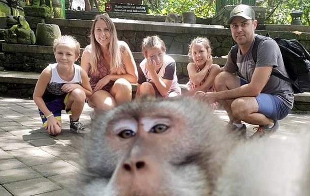 Мавпа зробила  вульгарне  селфі на крадений фотоапарат