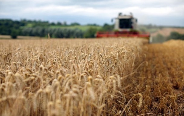 В Україні почали збирати ранні зернові