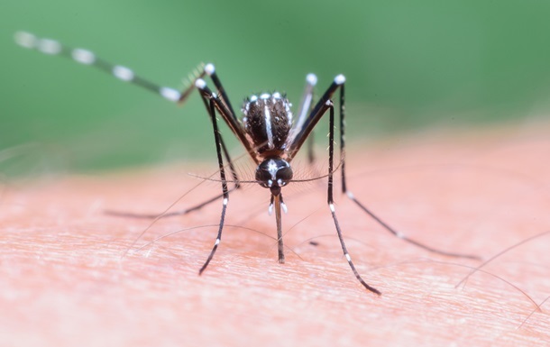 У Полтавській області зафіксовано випадок малярії