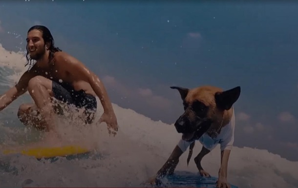Собака-серфингист покоряет волны в Израиле