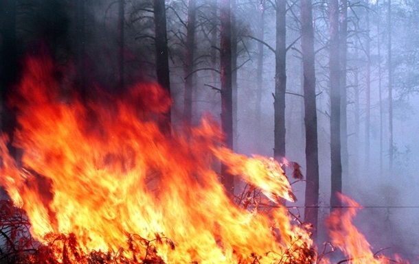 Ліквідована пожежа в замінованому лісі під Станицею Луганською