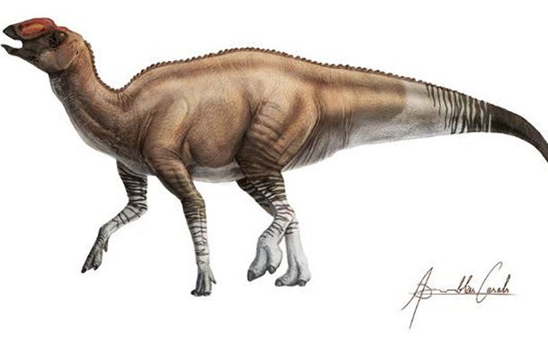 У США виявили новий вид динозаврів