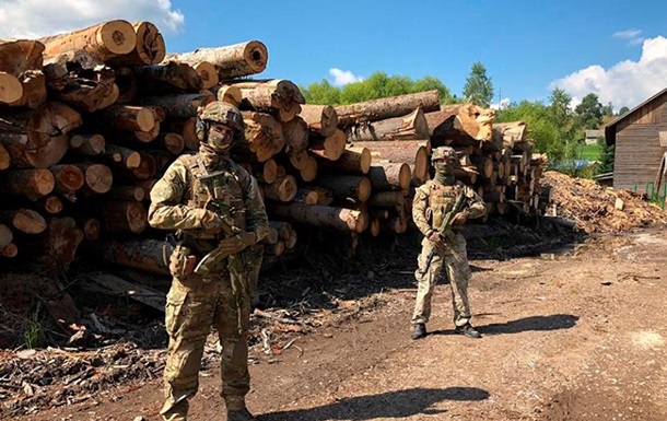 СБУ разоблачила незаконную вырубку леса на Закарпатье