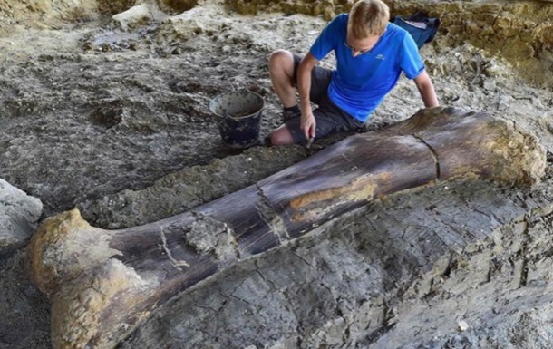 Вчені заявили про знайдену кістку найбільшого звіра в історії