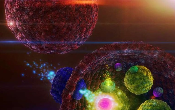 Ученые создали искусственные клетки способные уничтожить рак