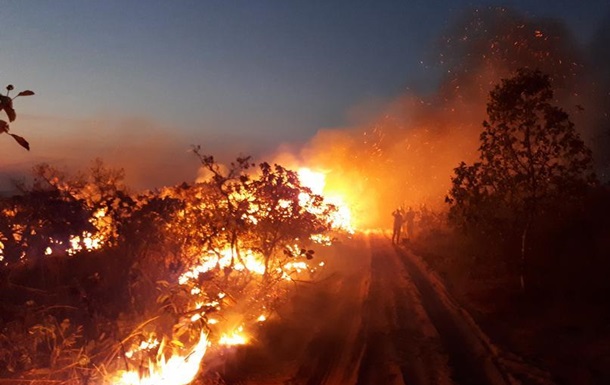 Президент Бразилії закидає підпали лісів екоактивістам