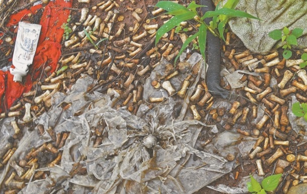 В Мексике на свалке нашли около двух тысяч фрагментов костей рук