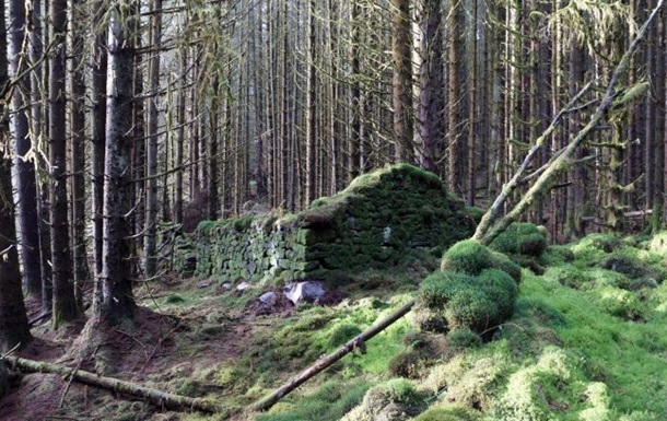 Археологи раскрыли предназначение руин в лесах Глазго