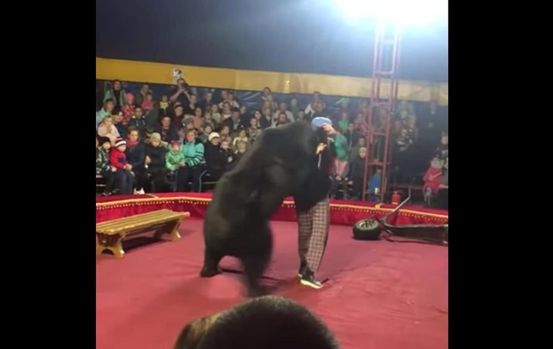 В России медведь напал на дрессировщика во время представления