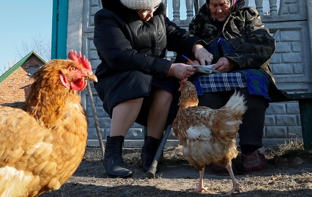 За убийство курицы украинца осудили на пять лет 