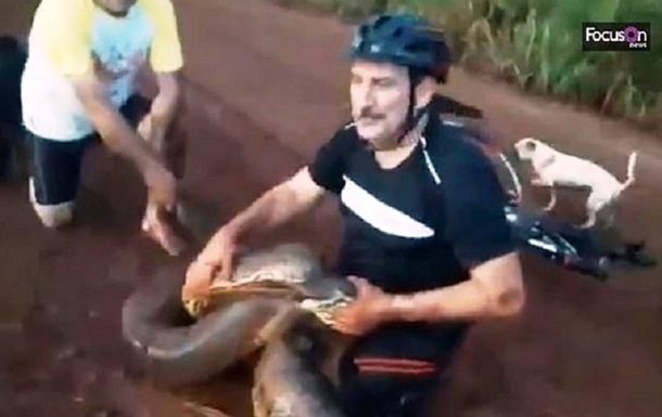 Бразилец спас собаку от огромной анаконды